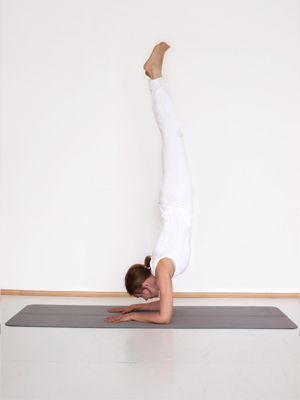 Pinchmajurasana Pinchmajurasana_Dr Bakos Judit Eszter