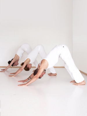 Padottanasana Padottanasana_Dr Bakos Judit Eszter